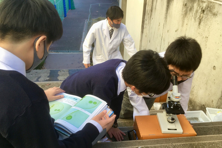 桐光学園小学校 クラブ活動の様子 6年生 理科クラブ 桐光学園小学校 クラブ活動の様子 6年生 理科クラブ
