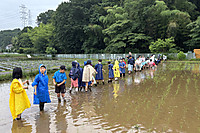 2025taue1