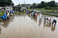 2025taue10