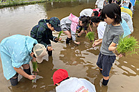 2025taue3