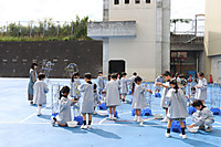 20251007asagao3