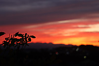 20251029sora9 20251029sora9