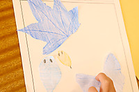 20251031kosuridasi2 20251031kosuridasi2