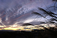 20251106yuugure03 20251106yuugure03