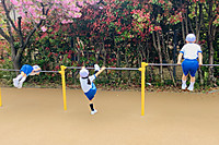 202604yasumizikan5 202604yasumizikan5