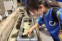 20260521ensoku8_3 20260521ensoku8_3