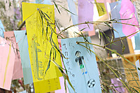 20260707tanabata3 20260707tanabata3