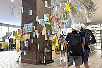 20260707tanabata4 20260707tanabata4