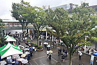 20260920_kiryokusai1 20260920_kiryokusai1